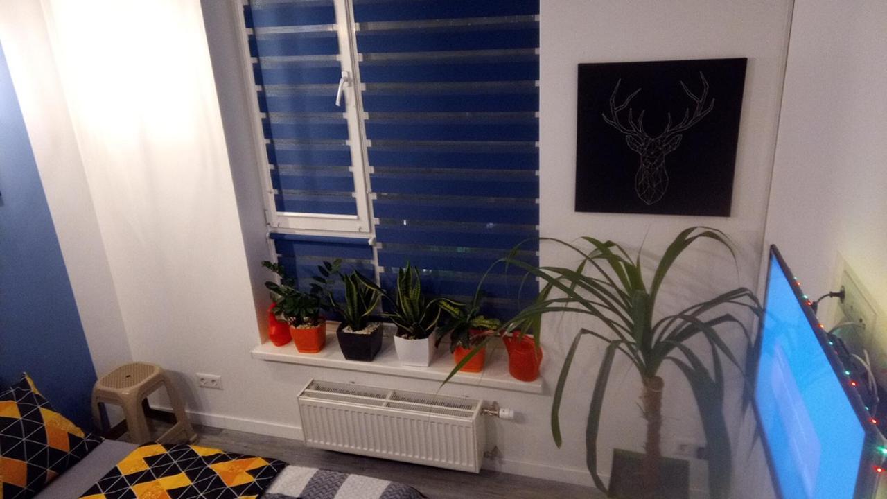 קייב Georgeous Bright Studio In A Bright Residential Complex Comfort Town Кт-08 מראה חיצוני תמונה